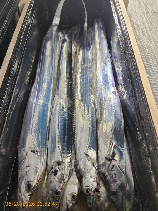 KakaoTalk_20260628_110917322_14.jpg
