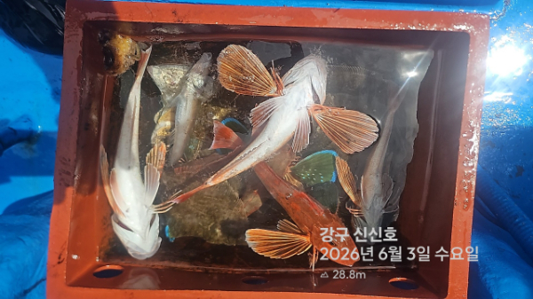 신신낚시 강구점 신신호_사진_20260603_7.jpg
