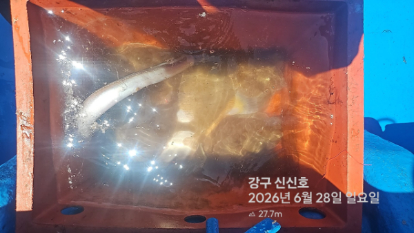 신신낚시 강구점 신신호_사진_20260628_7.jpg