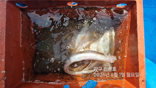 신신낚시 강구점 신신호_사진_20260601_15.jpg