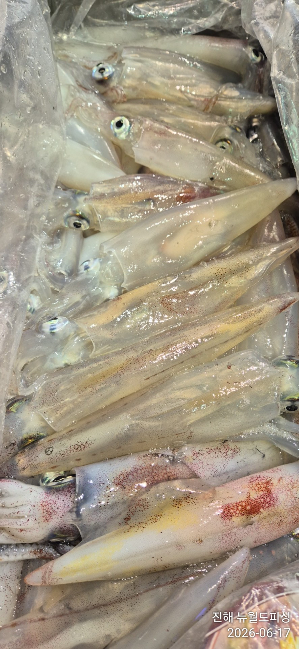 1781647890808.jpg