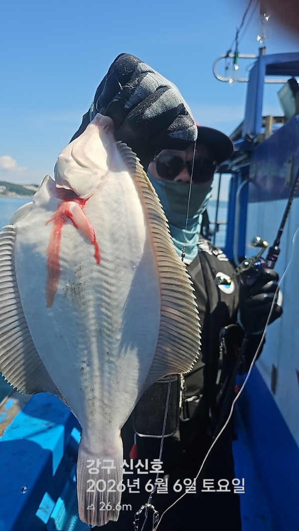 신신낚시 강구점 신신호_사진_20260606_6.jpg