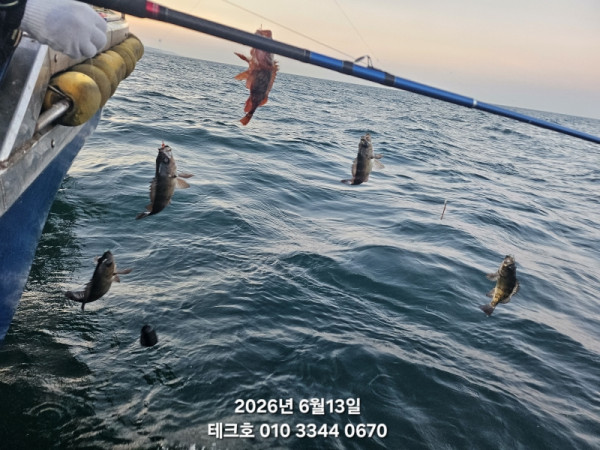 KakaoTalk_20260614_141425297_03.jpg