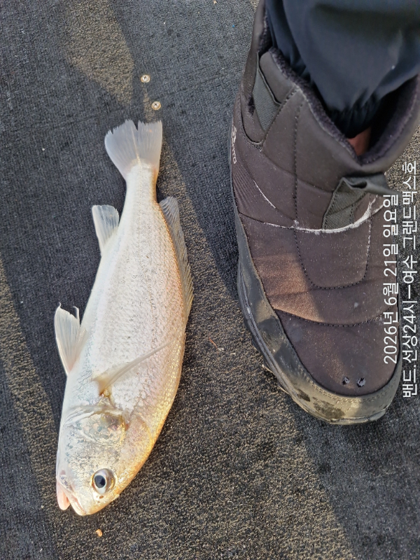 1000168085.jpg
