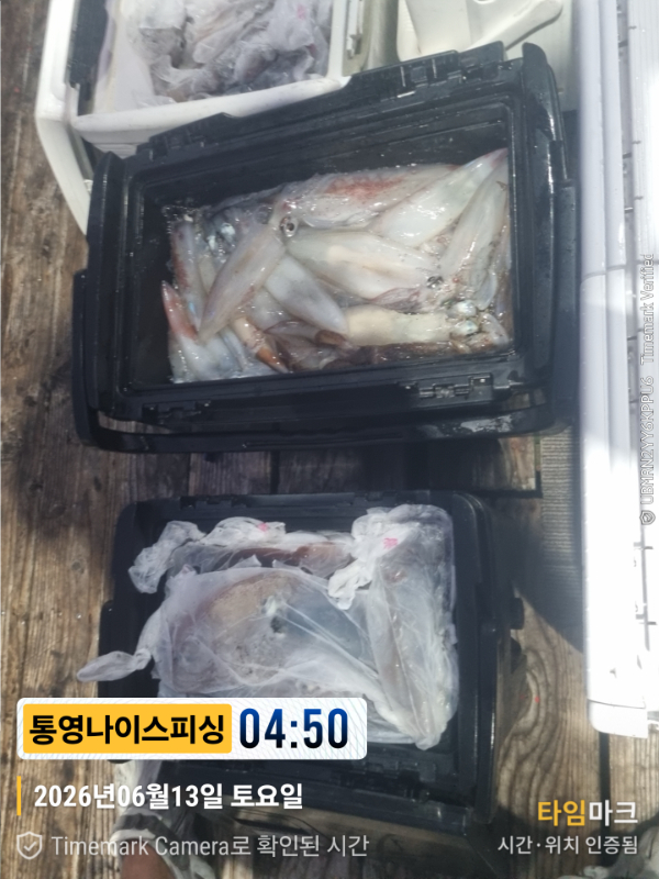 2026-06-13 04.50.00__(제목-통영나이스피싱).jpg
