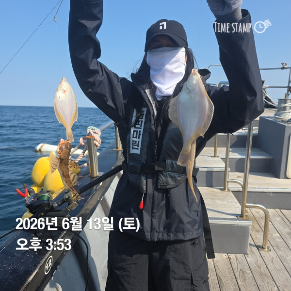 공현진낚시마트(돌핀호)_사진_20260613_1.jpg