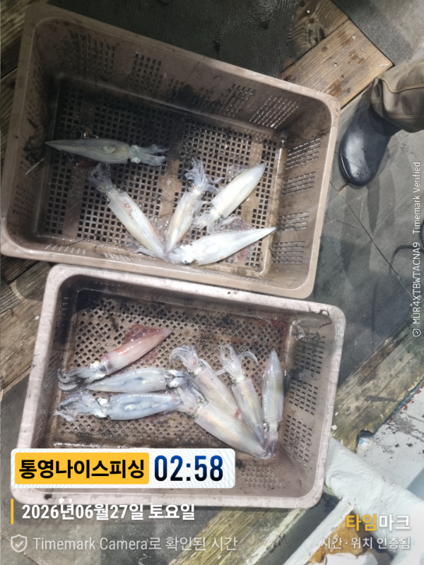 2026-06-27 02.58.18__(제목-통영나이스피싱).jpg
