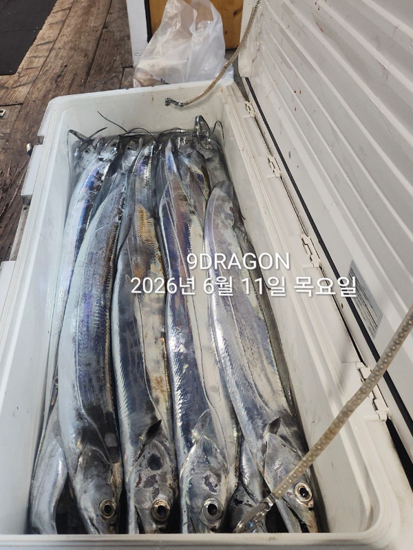48114792-A00E-44FA-978E-5ABC59CBBEED.jpeg