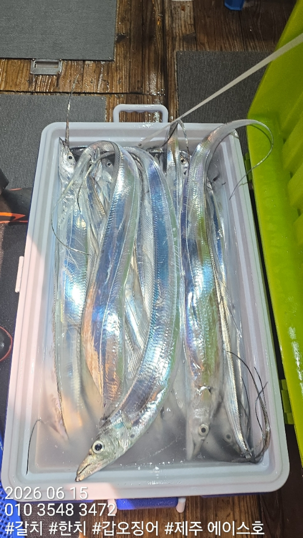 KakaoTalk_20260615_122001818_10.jpg