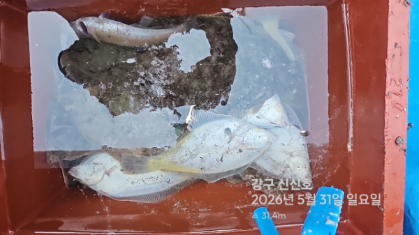 신신낚시 강구점 신신호_사진_20260531_13.jpg
