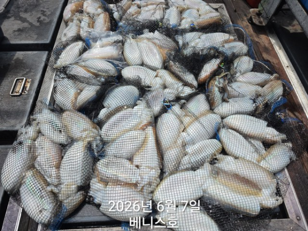 KakaoTalk_20260607_144617452_03.jpg