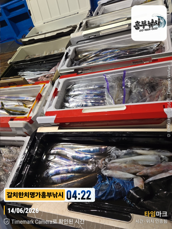2026-06-14 04.22.22__(제목-갈치한치명가흥부낚시).jpg