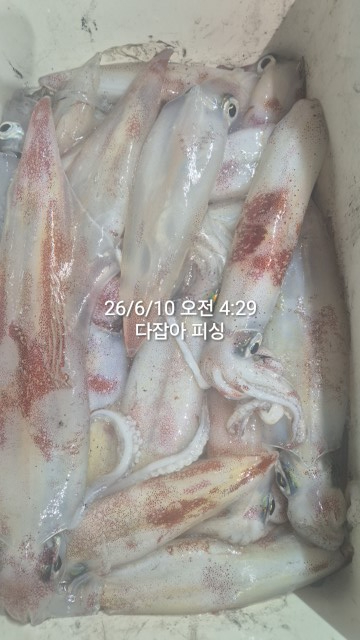 1781063753006.jpg