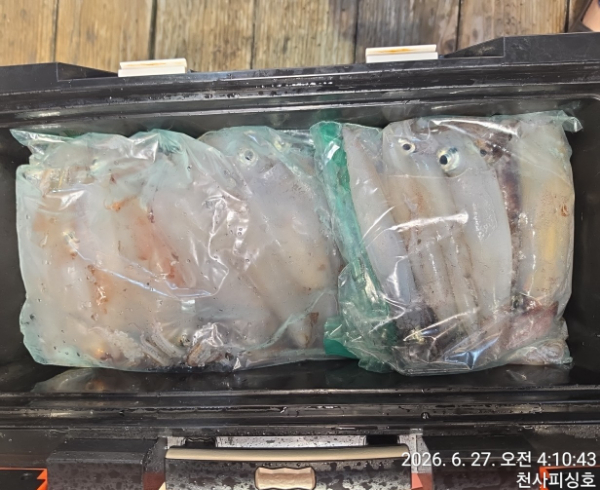1004피싱_사진_20260627_8.jpg