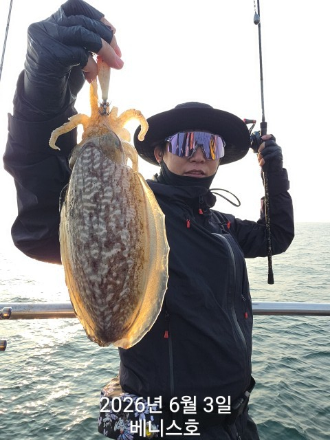 KakaoTalk_20260603_142251264_14.jpg