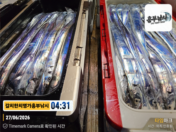 2026-06-27 04.31.58__(제목-갈치한치명가흥부낚시).jpg