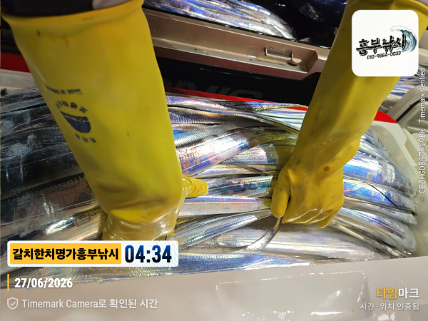 2026-06-27 04.34.35__(제목-갈치한치명가흥부낚시).jpg