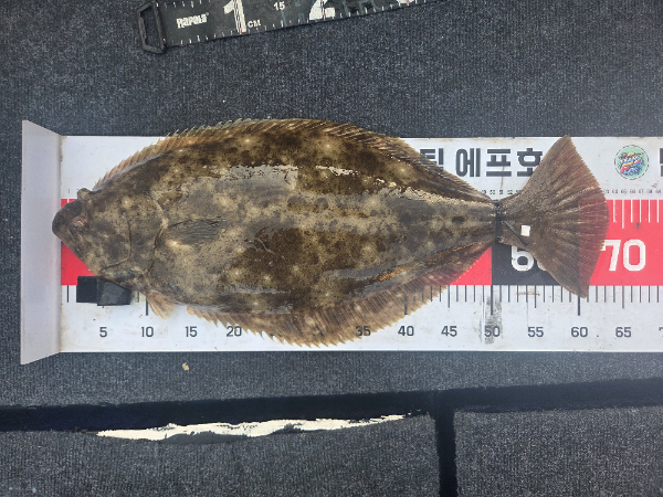 팀에프투호 박신영님2.jpg