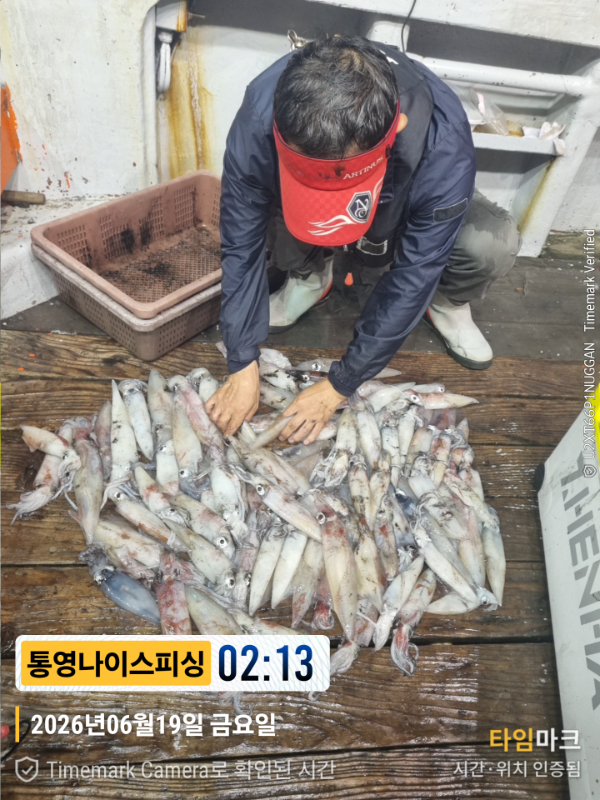 2026-06-19 02.13.22__(제목-통영나이스피싱).jpg