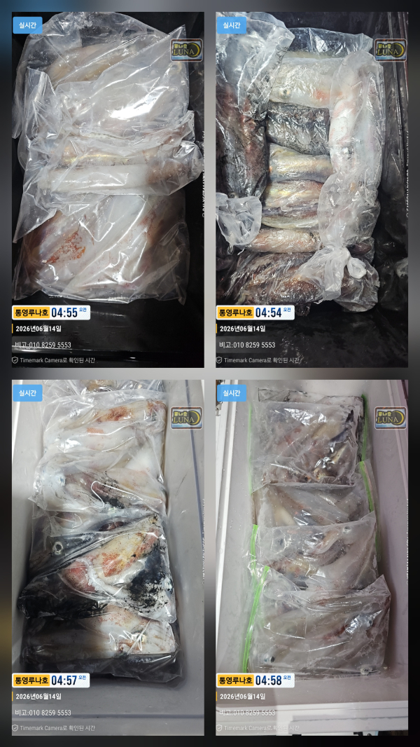 20260614_090245.jpg
