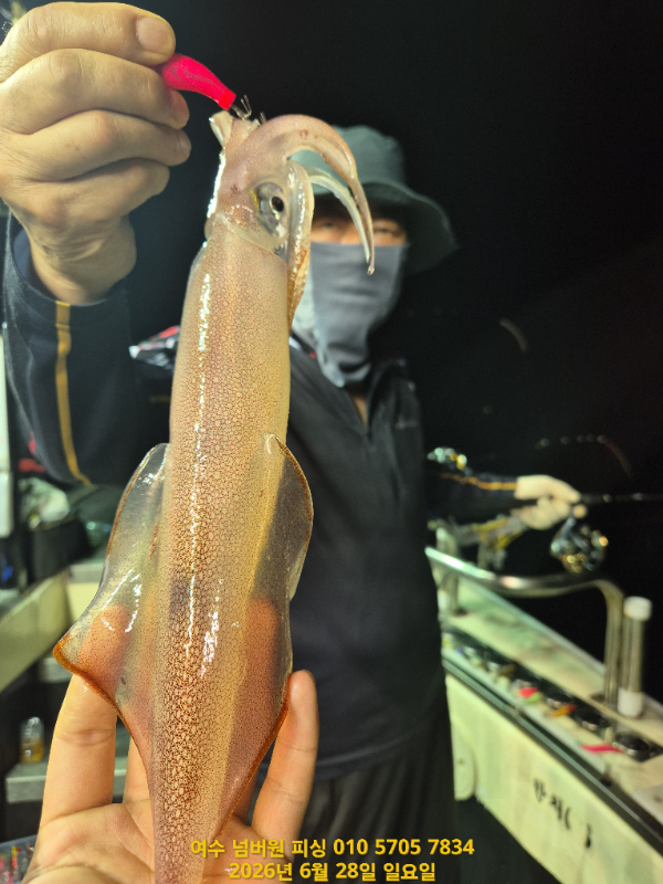 KakaoTalk_20260629_064434347_15.jpg