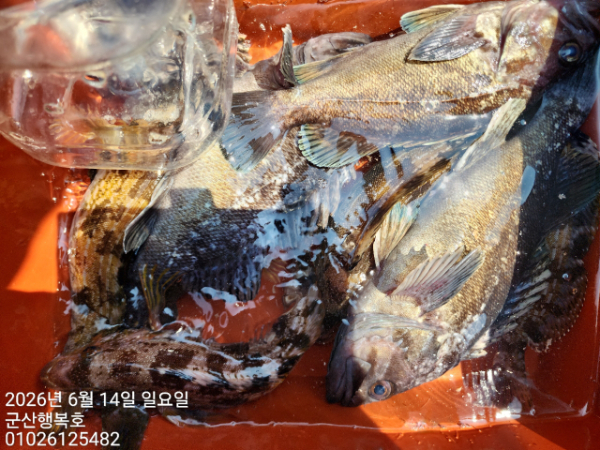 군산행복호_사진_20260614_11.jpg