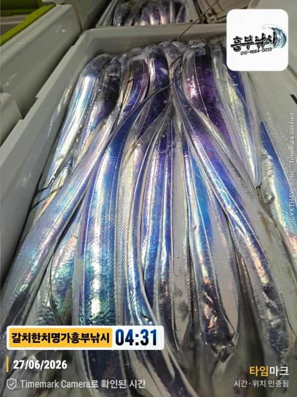 2026-06-27 04.31.54__(제목-갈치한치명가흥부낚시).jpg