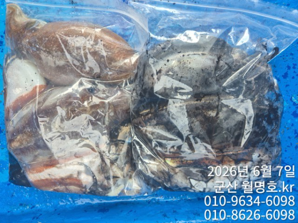 8707.jpg