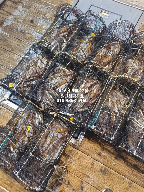 KakaoTalk_20260622_052359234_02.jpg
