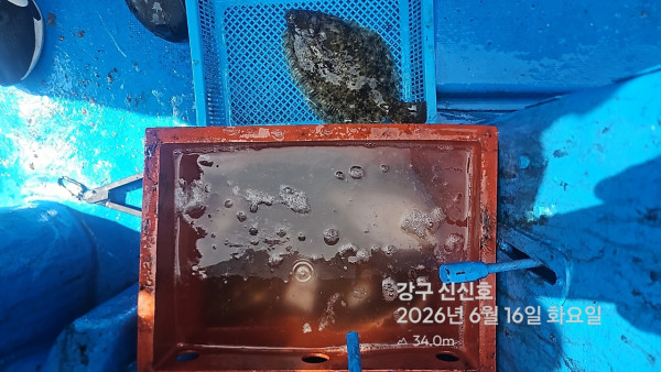신신낚시 강구점 신신호_사진_20260616_5.jpg