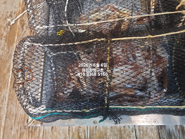 KakaoTalk_20260607_055104899_07.jpg
