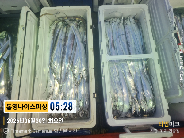 2026-06-30 05.28.25__(제목-통영나이스피싱).jpg