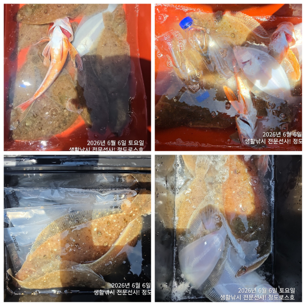 PhotoCollage_1780961372831.jpg