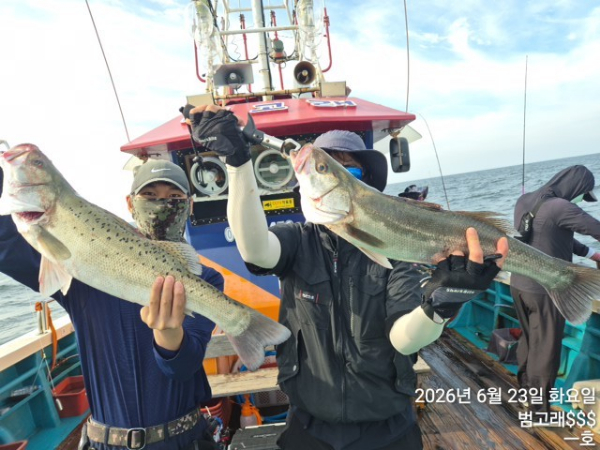KakaoTalk_20260623_091026983_13.jpg