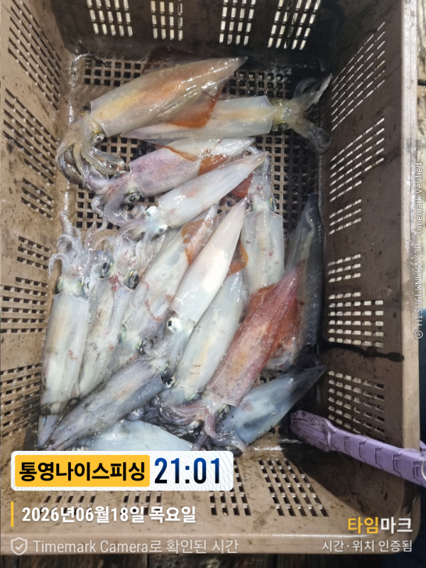 2026-06-18 21.01.52__(제목-통영나이스피싱).jpg