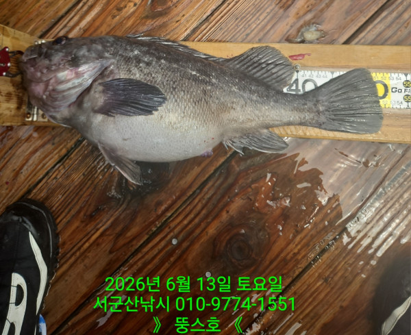 군산 선상낚시, 바다낚시 출조 전문 ☆서군산낚시☆_사진_20260613_2.jpg