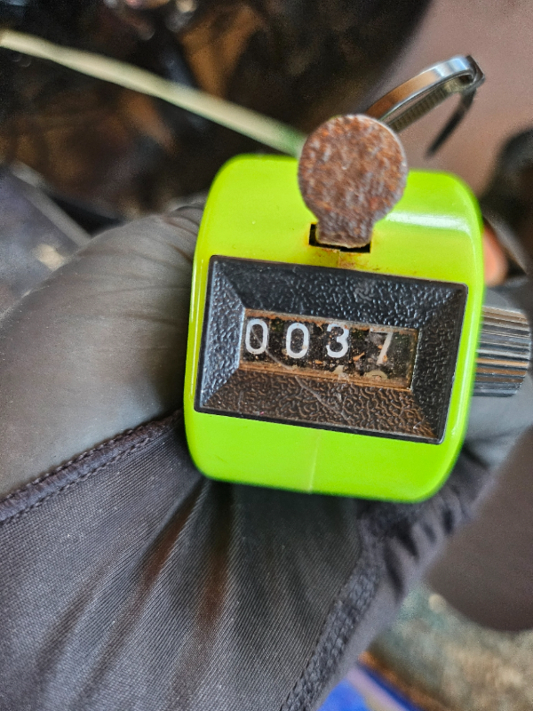 1000042901.jpg