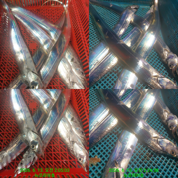 1000080969.jpg