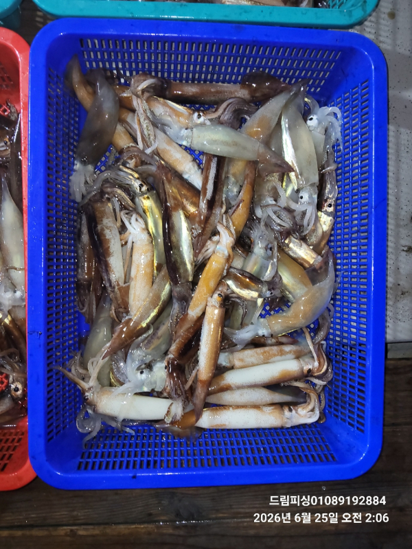 BandPhoto_2026_06_28_06_40_17.jpg