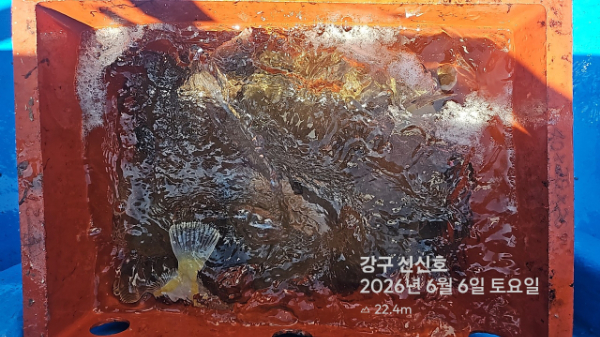 신신낚시 강구점 신신호_사진_20260606_14.jpg