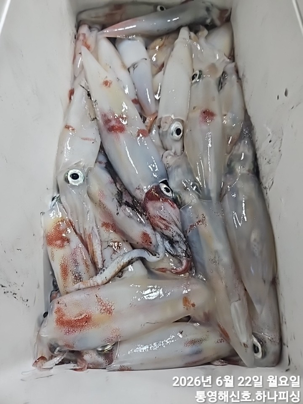1782071167119.jpg