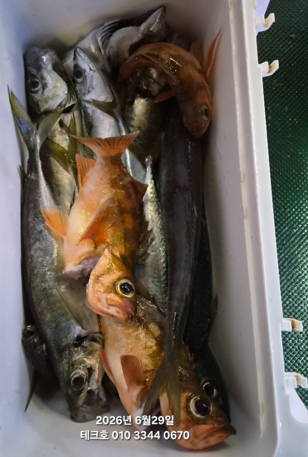 KakaoTalk_20260630_020157845_04.jpg