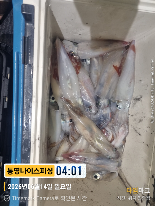 2026-06-14 04.01.30__(제목-통영나이스피싱).jpg