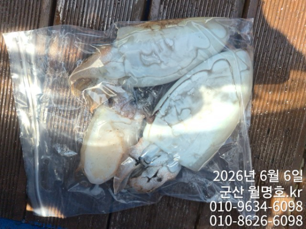 8624.jpg