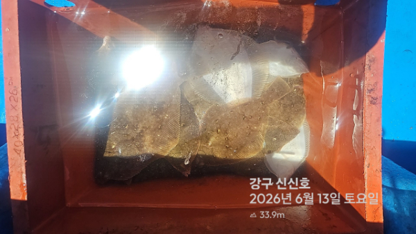 신신낚시 강구점 신신호_사진_20260613_11.jpg