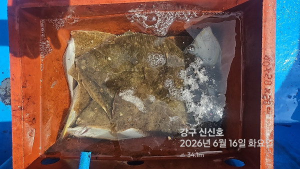 신신낚시 강구점 신신호_사진_20260616_4.jpg