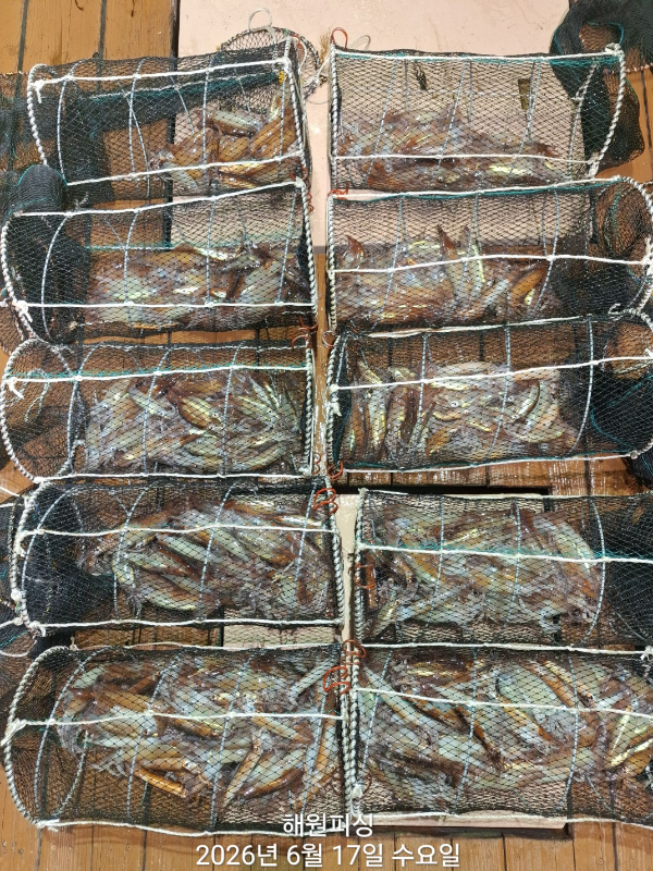 1000035703.jpg