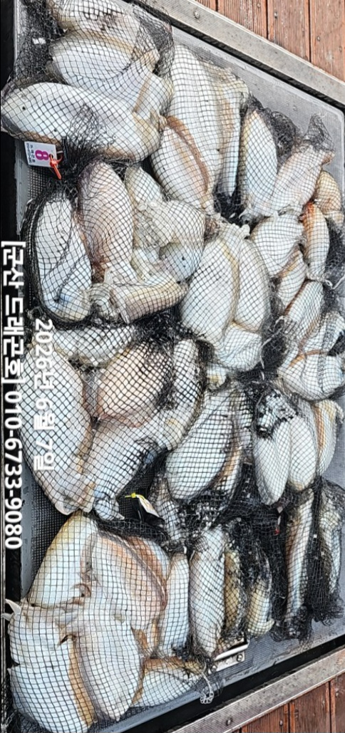 1000100471.jpg