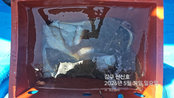 신신낚시 강구점 신신호_사진_20260531_17.jpg