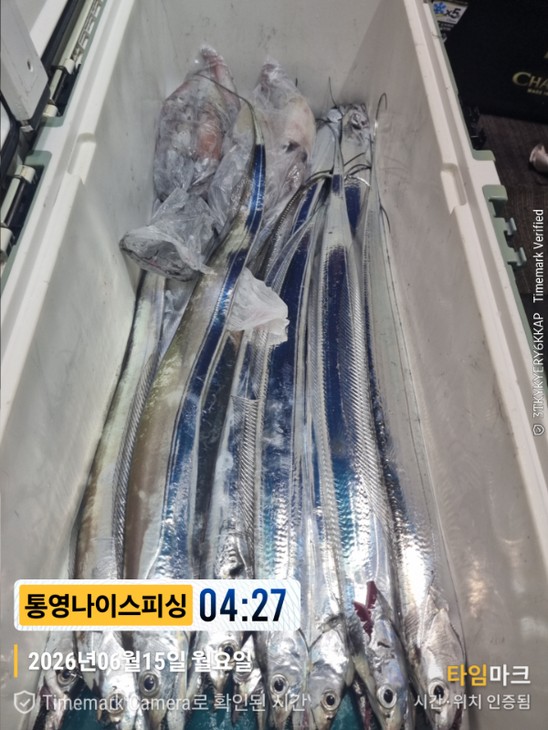 2026-06-15 04.27.29__(제목-통영나이스피싱).jpg